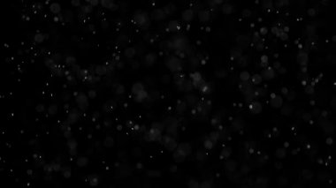 Düşen kıvılcımlar Frost. Küçük beyaz parçacıklar kar, kar fırtınası veya Noel sihirli bir evren benzetimini yapmak için siyah arka plan üzerinde hava akışı. 240 fps hızında filme