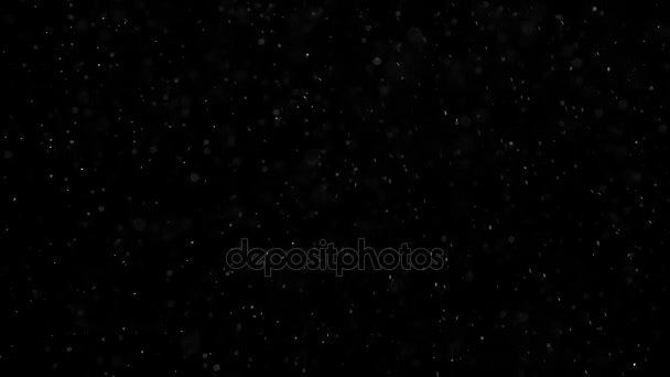 Chaotic Dancing Snowflakes Small White Particles Flow Air Black Background — Stock Video