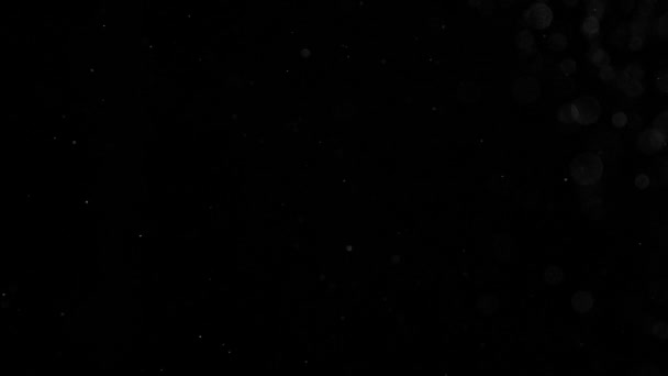 Kaum Wahrnehmbare Schneeflocken Kleine Weiße Teilchen Strömen Auf Schwarzem Hintergrund — Stockvideo