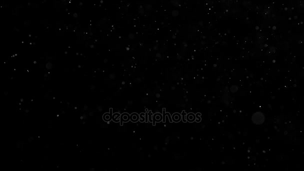 無重力フラッタ霜 またはクリスマス魔法の小宇宙をシミュレートする黒い背景に空気中の小さな白い粒子の流れ 240 Fps の速度で撮影 — ストック動画