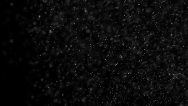 Une rafale de neige. De petites particules blanches coulent dans l'air sur un fond noir pour simuler la neige, le blizzard ou un microcosme de la magie de Noël. Filmé à une vitesse de 240 images par seconde 