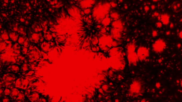 Neon Blutiger Jet Auf Schwarz Ein Tropfen Roter Tinte Tropft — Stockvideo