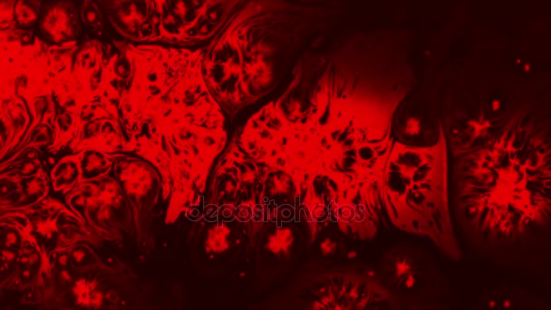 Laboratory Blood Test Drop Red Ink Drops Black Paper Spread — Stock Video