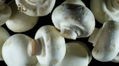 Petrol içinde belgili tanımlık perde uç. Siyah bir arka plan üzerinde lens içine atılmış mantar düğme. Parçaları havada asılı ve yavaş yavaş karanlıkta kaybolur. 480 fps hızında filme