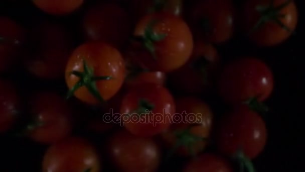 红色成熟蕃茄在飞行在黑暗的背景 — 图库视频影像