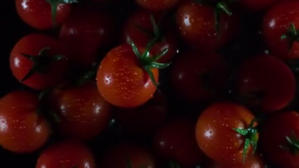 Tira Tomates Una Pequeña Cantidad Tomate Tirado Lente Cámara Cámara — Vídeo de stock