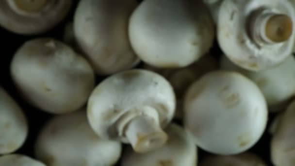 Champignon Champiñones Cayendo Sobre Fondo Oscuro — Vídeos de Stock