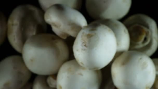 Champignons Cucina Funghi Pulsante Vomitati Nella Lente Uno Sfondo Nero — Video Stock