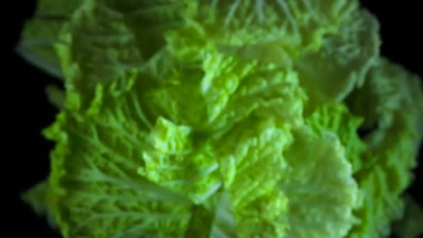 Cabbage Leaves Flight Dark Background — Stock Video