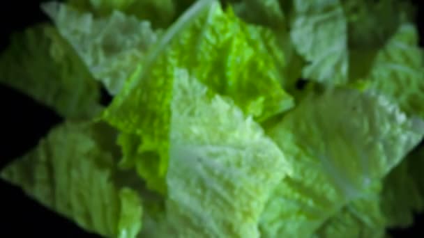 Fresh Green Cabbage Leaves Leaves Beijing Cabbage Fly Air Camera — Stock Video