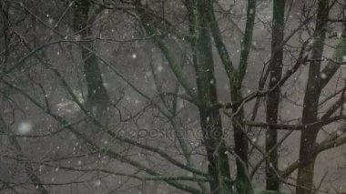 İlk kar üzerinde eski Park. Büyük kar pul ıslak sonbahar ağaçlar arka planı yavaş yavaş düşer. 120 fps hızında filme