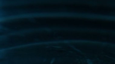 Karanlık su damlaları. Bir damla sıvı yavaş yavaş su yüzeyine düşer. Güzel bir sıçrama ve su üzerinde daireler. 240 fps hızında filme
