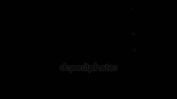 Chute de neige bleue de Noël. Beaucoup de flocons de neige artificiels brillants volent dans l'objectif de l'appareil photo, et pendent dans l'air. ils scintillent de couleurs arc-en-ciel. Belle vidéo pour Noël, Nouvel An, Saint Valentin ou toute autre fête. Filmé à une vitesse de 240 images par seconde 