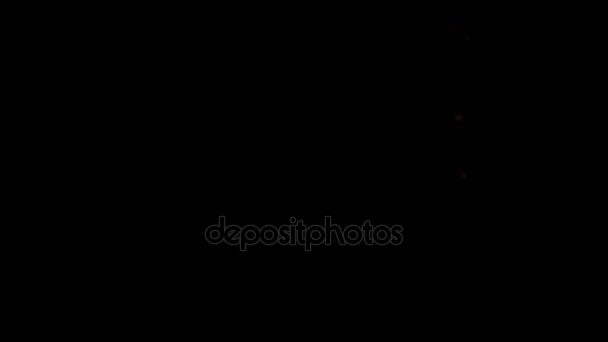 Chute de neige magique de Noël. Beaucoup de flocons de neige artificiels brillants volent dans l'objectif de l'appareil photo, et pendent dans l'air. ils scintillent de couleurs arc-en-ciel. Belle vidéo pour Noël, Nouvel An, Saint Valentin ou toute autre fête. Filmé à une vitesse de 240fp 