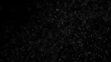 Kaotik dönen Microparticles. Küçük beyaz parçacıklar kar, kar fırtınası veya Noel sihirli bir evren benzetimini yapmak için siyah arka plan üzerinde hava akışı. 240 fps hızında filme