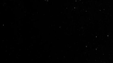 Yükselen yıldız leke. Küçük beyaz parçacıklar kar, kar fırtınası veya Noel sihirli bir evren benzetimini yapmak için siyah arka plan üzerinde hava akışı. 240 fps hızında filme