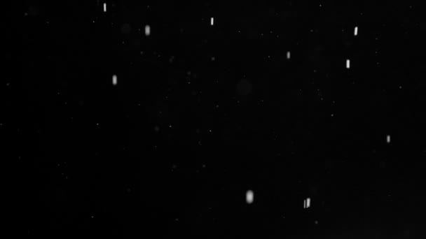 Début Une Chute Neige Nocturne Chute Microparticules Givre — Video