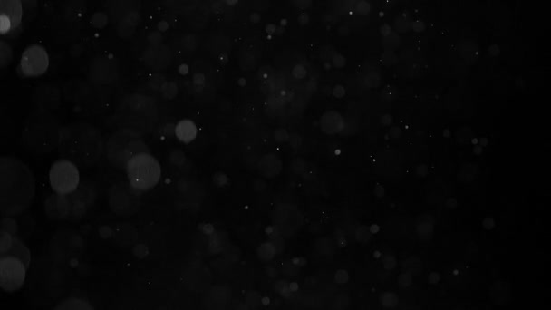 Weightless White Particles Small White Particles Flow Air Black Background — Stock Video