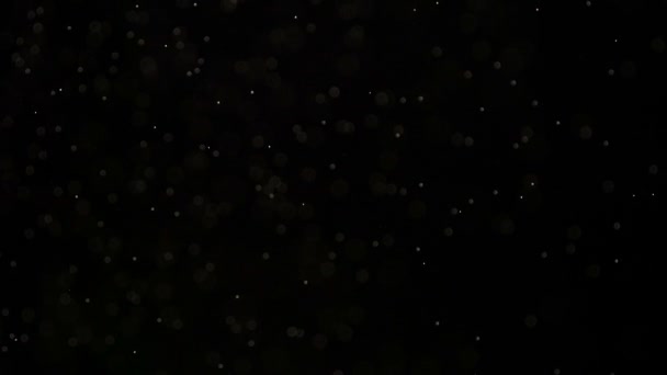 Chute de neige nocturne tranquille. De petites particules blanches coulent dans l'air sur un fond noir. Mouvement lent à 240 ips 