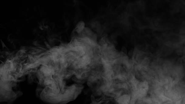 Humo Blanco Propaga Aleatoriamente Una Corriente Humo Blanco Extiende Lentamente — Vídeo de stock