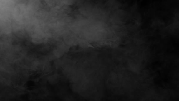 Smoke Powoli Opuszcza Czarny Ekran Szary Dym Czarnym Tle Powoli — Wideo stockowe