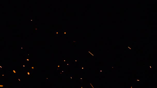 複数の火花とカオスを作成します 明るい赤ホット火花がランダムに移動し 黒の背景に異なる速度で 240Fpsの速度で撮影 — ストック動画