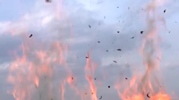 強力な自然火災 砂漠での野火は大量の灰の中に上昇する 240Fpsの速度でのスローモーション — ストック動画