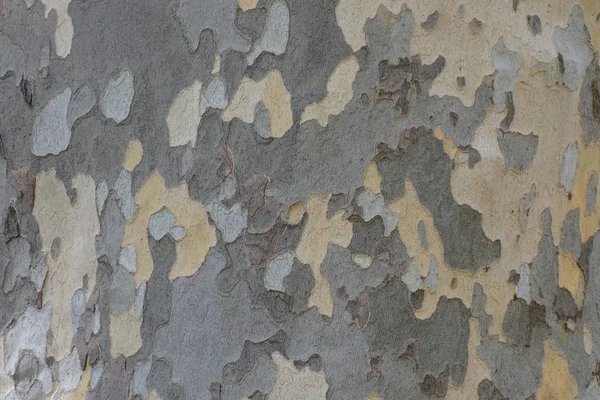 Arka plan resmi ahşap yüzey dokusu.