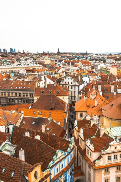 Prag şehir panoraması. Şehrin eski kısmı. Güzel çatı Zona. Eski binalar ve kiliseler.