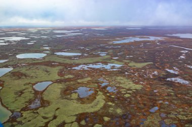 Kuzey Kutbu 'ndaki bir helikopterden fotoğraf çekmek. Kuzey tundranın sonbahar manzarası. Birçok göl, nehir, değişik yosunlar ve kertenkelelerin manzarası. Kasvetli sonbahar gökyüzü.