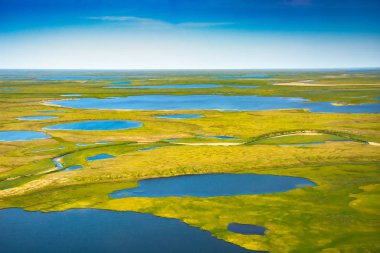 Kutup tundrasının yaz aylarındaki manzarası. Nehirler, göller, kuzey bitki örtüsü. Yukarıdan bak. İklim değişikliği kavramı, Kuzey Kutbu 'nda ısınma..