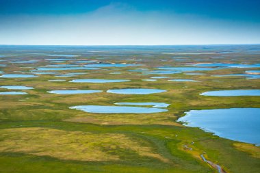 Kutup tundrasının yaz aylarındaki manzarası. Nehirler, göller, kuzey bitki örtüsü. Yukarıdan bak. İklim değişikliği kavramı, Kuzey Kutbu 'nda ısınma..