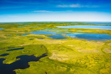Kutup tundrasının yaz aylarındaki manzarası. Nehirler, göller, kuzey bitki örtüsü. Yukarıdan bak. İklim değişikliği kavramı, Kuzey Kutbu 'nda ısınma..