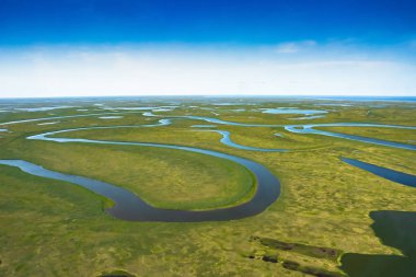 Kutup tundrasının yaz aylarındaki manzarası. Nehirler, göller, kuzey bitki örtüsü. Yukarıdan bak. İklim değişikliği kavramı, Kuzey Kutbu 'nda ısınma..