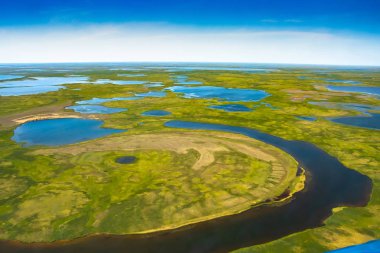 Kutup tundrasının yaz aylarındaki manzarası. Nehirler, göller, kuzey bitki örtüsü. Yukarıdan bak. İklim değişikliği kavramı, Kuzey Kutbu 'nda ısınma..