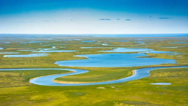 Пейзаж Арктической Тундры Летом Реки Озера Северная Растительность Вид Сверху — стоковое фото