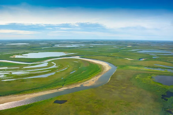 Kutup tundrasının yaz aylarındaki manzarası. Nehirler, göller, kuzey bitki örtüsü. Yukarıdan bak. İklim değişikliği kavramı, Kuzey Kutbu 'nda ısınma..