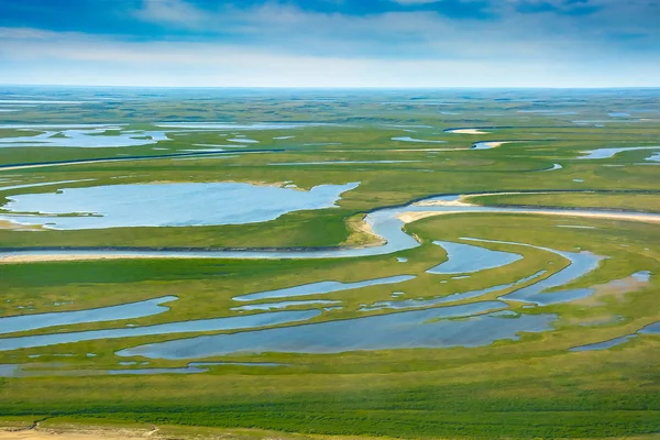 Τοπίο Της Αρκτικής Τούνδρας Καλοκαίρι Ποτάμια Λίμνες Βόρεια Βλάστηση Θέα — Φωτογραφία Αρχείου