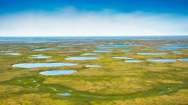 Πράσινη Τούνδρα Στις Ακτές Του Αρκτικού Ωκεανού Θερινό Αρκτικό Τοπίο — Φωτογραφία Αρχείου