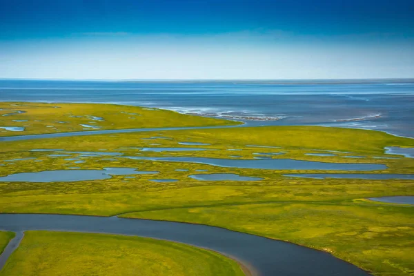 Zielona Tundra Wybrzeżu Oceanu Arktycznego Letni Arktyczny Krajobraz Koncepcja Zmiany — Zdjęcie stockowe