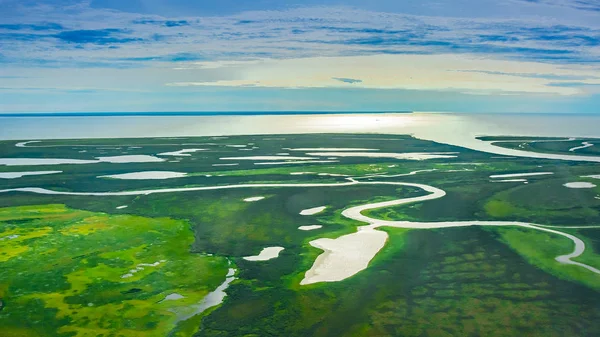 Zielona Tundra Wybrzeżu Oceanu Arktycznego Letni Arktyczny Krajobraz Koncepcja Zmiany — Zdjęcie stockowe