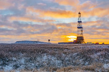 Kuzey Tundra 'nın Kuzey Kutbu' ndaki bitki örtüsü. Arka planda petrol ve gaz sondajı için bir sondaj kulesi var. Kutup gününün güneşi bulutların arasında parıldıyor. Arka ışıklandırma.