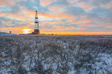 Vegetation of the northern tundra in the winter in the Arctic. In the background is a drilling rig for oil and gas drilling. The sun of the polar day sparkles through the clouds. Backlighting. clipart