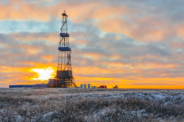 Kuzey Tundra 'nın Kuzey Kutbu' ndaki bitki örtüsü. Arka planda petrol ve gaz sondajı için bir sondaj kulesi var. Kutup gününün güneşi bulutların arasında parıldıyor. Arka ışıklandırma.