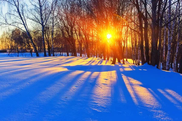 Färgglada vinter sunset — Stockfoto