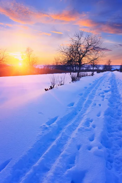 Winter sunset in a park — Stock Photo, Image