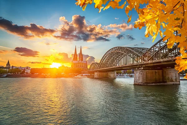 Köln bei Sonnenuntergang — Stockfoto