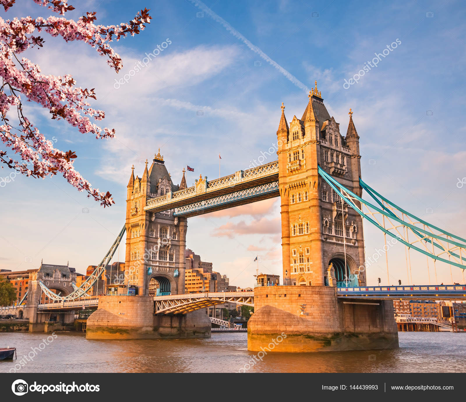 Bridge Kostenlos Bridge Kostenlos