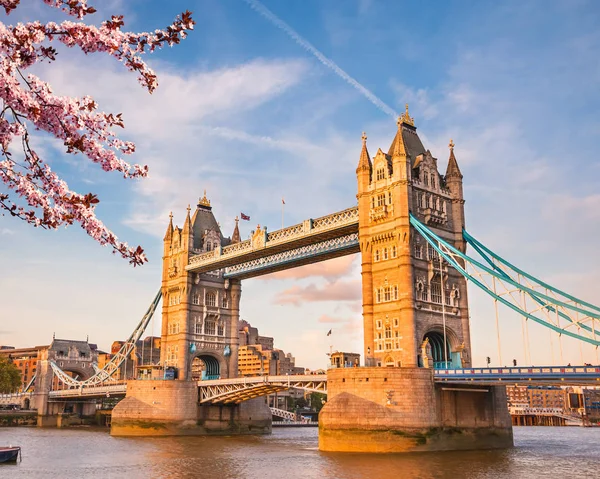 Tower bridge w Londynie w spring — Zdjęcie stockowe