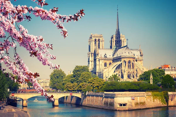 Notre Dame de Paris in het voorjaar — Stockfoto